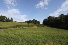 photo 107